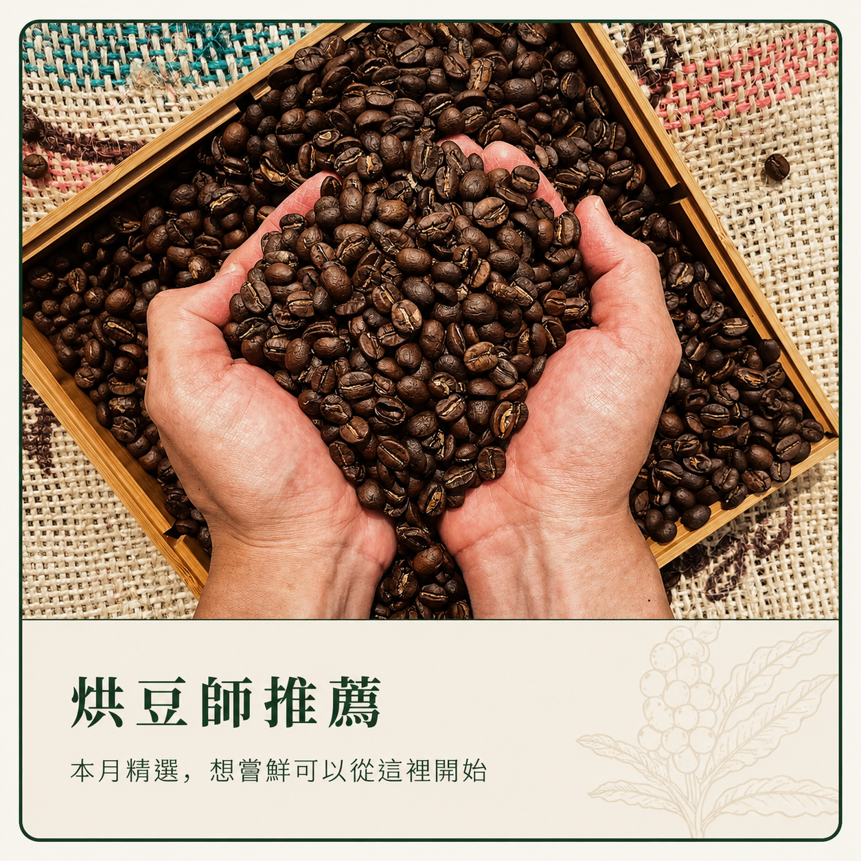烘豆師推薦