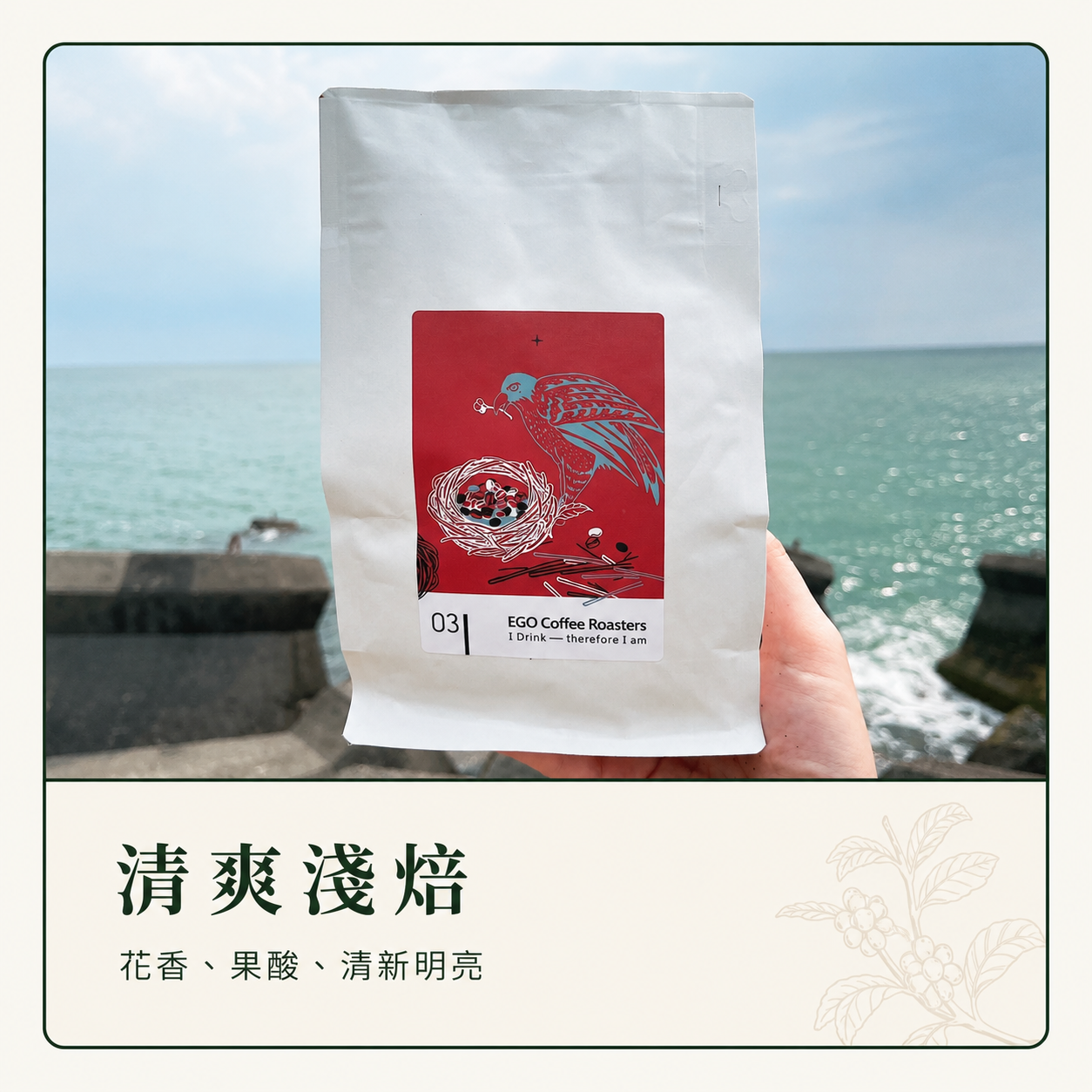 清爽淺焙